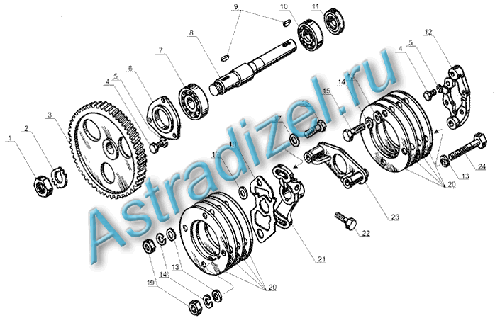 M 238  :   