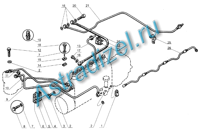 M 238  :  