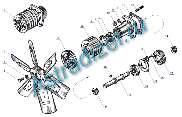 M 238  : 