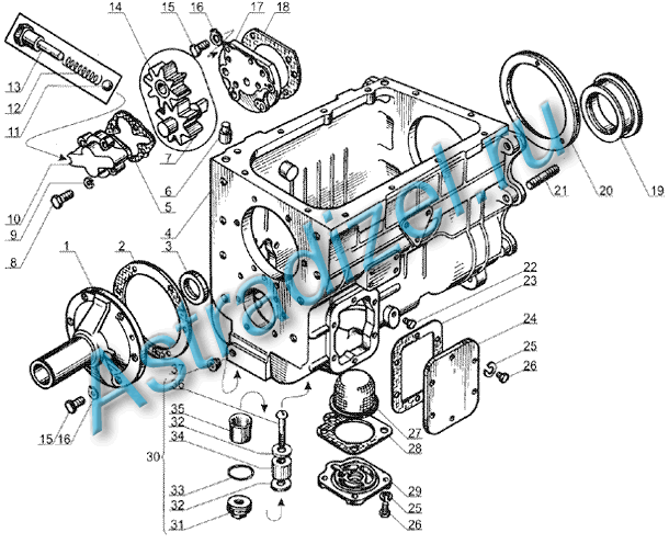 M 238  :        238 