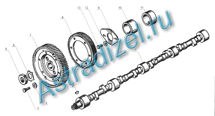 M 238  :  