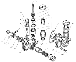 M 238  :  